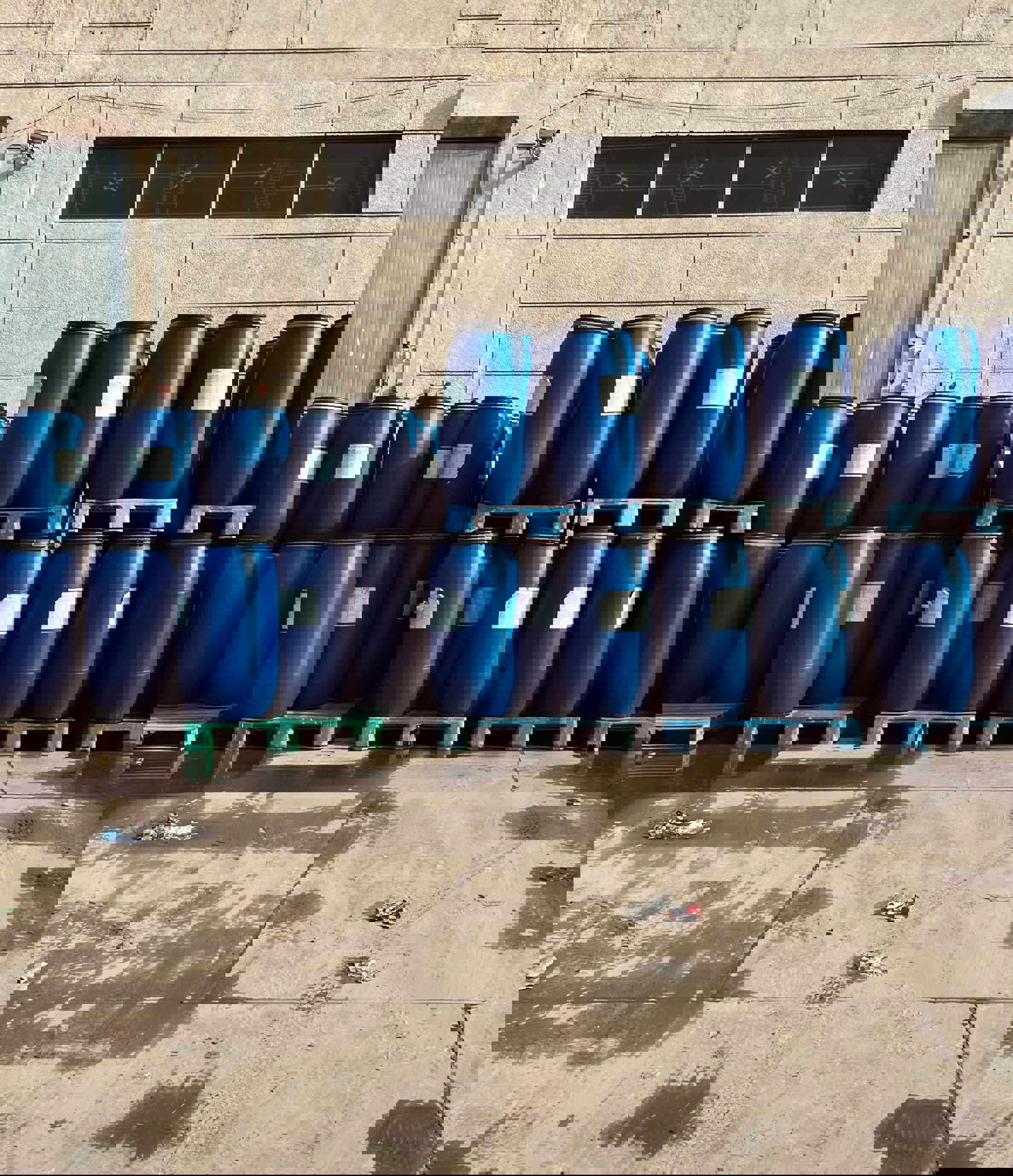 Varil Contası küçük resim